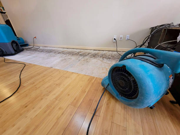Professional Structural Drying technician working in Flintstone, GA